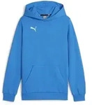 Puma teamGOAL Casuals Hoodie Kinder - blau-116