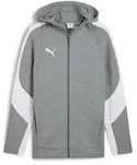 Puma teamEVOSTRIPE Full-Zip Hoodie Herren - grau/wei&szlig;-S
