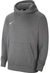 Nike Park 20 Hoodie Kinder - grau 137-147