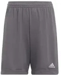 adidas Entrada 22 Shorts Kinder - grau-116