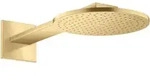 hansgrohe AXOR ShowerSolutions Kopfbrause 250 1-jet,Wandanschluss, Brausearm 450 mm,