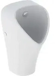 Geberit Urinal Narva, Zulauf von hinten, Abgang nach hinten, rimfree,...