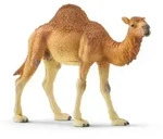 Schleich&reg; 14832 Dromedar
