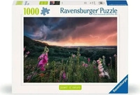 Ravensburger 12000793, Ravensburger Erwachsenenpuzzle 1000 Teile - Ein Sturm zieht