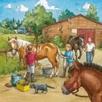 Ravensburger 09237, Ravensburger Kinderpuzzle 3x49 Teile - Mein Reiterhof