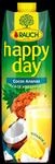 Rauch Happy Day Cocos-Ananas 1l