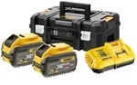 DeWalt Akku Starter Set