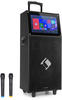 KTV Karaoke-System 15,4" Touch 2UHF-Mic WiFi BT USB SD HDMI Trolley