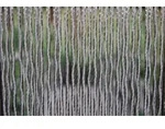 La Tenda T&uuml;rvorhang MERANO 2 Gr&ouml;&szlig;e: 100x230cm Farbe: transparent wei&szlig;