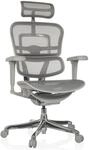 hjh OFFICE Luxus Chefsessel ERGOHUMAN ULTRA G GEN2 Netzstoff mit Armlehnen