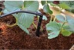 Palram - Canopia Bew&auml;sserungssystem, Micro-Drip-System f&uuml;r Gew&auml;chshaus