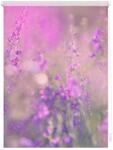 Lichtblick Rollo Klemmfix, ohne Bohren, blickdicht, Blumenwiese - Fuchsia Violett