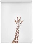 Lichtblick Rollo Klemmfix, ohne Bohren, Verdunkelung, Giraffe - Braun