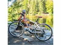 Galano Toxic Mountainbike Hardtail 29 Zoll für Erwachsene ab 175 cm MTB...