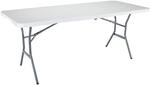 Lifetime Kunststoff Klapptisch 183x76 cm