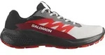 SALOMON ALPHAGLIDE GTX - Hr., lunar rock/black/biking red (12 UK)
