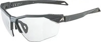 Alpina Sports Alpina Twist Six HR V (Midnight-grey matt, Black) (37788527) Grau