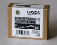 Epson C13T580900, Epson T5809 (BK, GY) (C13T580900)