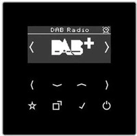 JUNG DABLSSW, JUNG Smart Radio DABLSSW DAB+ (DAB+, FM, WLAN) (DABLSSW) Schwarz
