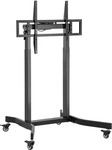 equip 650632, equip Bodenstandhalter 55-100"/ 1TFT 120kg schwarz (120 kg, 55" - 100")