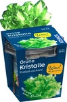 Kosmos 47855770, Kosmos Gr&uuml;ne Kristalle (47855770)