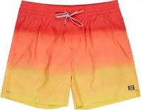 Quiksilver EBYJV00121-YGJ1, Quiksilver All Day Fade 16 Shorts (XL)...
