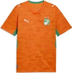 Puma 783182, Puma FIF Home Jersey Replica (S) (783182) Gr&uuml;n/Orange