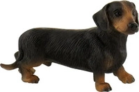Bullyland 65441, Bullyland Kurzhaardackel Apollo (65441) Schwarz/Braun