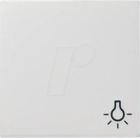 Gira 095065, Gira Wippe Licht reinweiss 028503 System 55 (095065) Weiss
