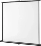 Celexon 1091781, Celexon Ultramobil Professional (87.99", 1:1) (1091781) Schwarz