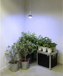 Venso 866.004, Venso Grow Light Winter (LED, 90 - 245 V) (866.004) Silber
