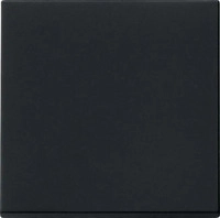 Gira 296005, Gira Wippe 0296005 System 55 schwarz-matt (296005)