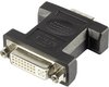 Renkforce VGA — DVI (DVI, VGA), Data + Video Adapter, Weiss