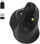 Port Designs 900719, Port Designs Ergonomische Maus (Kabellos) (900719) Schwarz