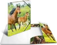 HERMA 7140, HERMA 3 Sammelmappen DIN A4 Pferde (A4, 3x) (7140)
