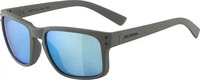 Alpina Sports A8570321, Alpina Sports Alpina Kosmic (A8570321) Moon-grey matt