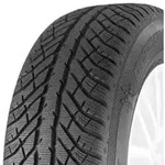 Cooper Discoverer Winter 225/50 R18 99 V, Winterreifen