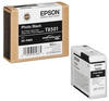 Epson C13T850100, EPSON Singlepack Photo Black T850100 80 ml (C13T850100)