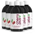 Montmorency Sauerkirschsaft Konzentrat - Cherry PLUS 6 Flaschen