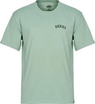Dickies DK0A4Z99K361, Dickies - Dickies Snake Iceberg Green - T-Shirt - Gr&uuml;n -...