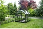 Halls Gew&auml;chshaus 'Popular 66' 193 x 195 cm mit 3 mm Blankglas schwarz