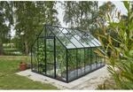 Halls Gew&auml;chshaus 'Universal 128' 257 x 384 cm mit 3 mm Sicherheitsglas schwarz