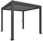 Biohort Pergola Gr. 3 x 3 dunkelgrau 312 x 312 cm