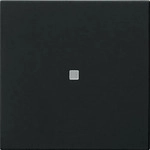 Gira 5368005, GIRA Bedienaufsatz System 3000 Bluetooth 5368005 | Schalter Dimmer