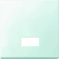 Merten 433819, Merten Wippe 433819 f&uuml;r Schalter/Taster | System M | Symbolfenster