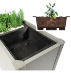 Biohort Pflanzeinsatz f&uuml;r Pflanzbeet Belvedere 2er Set