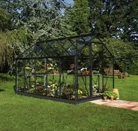 Halls F09579, Halls Gew&auml;chshaus Popular - 6.2 m&sup2; Schwarz mit 3 mm Blankglas