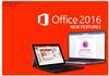 Microsoft Office 2016 Professional 269-16805