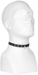 Nietenhalsband