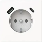 Busch Jaeger SCHUKO-USB-A+C 20 EUCB2USBAC-44G Steckdose Safety 2CKA002011A6316